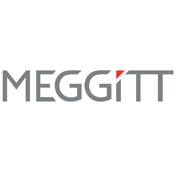 MEGGITT CONTROL SYSTEMS