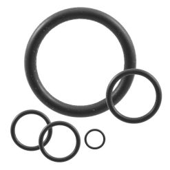 25156-223 | O-RING KALREZ..