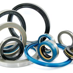 25223-008 | OIL SEAL..