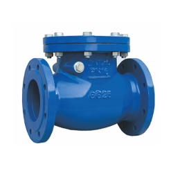 26642-106 | CHECK VALVE 5"..