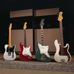 29313-223 | FENDER..
