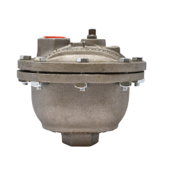 GTP-21A | AIR ELIMINATOR, ALUMINUM, 208 PSI