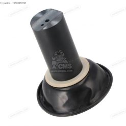 Q221001 | DIAPHRAGM ASSY-MEDIUM