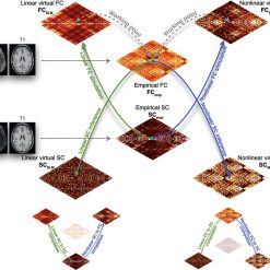 TS-TT | T5 SCALD TANKTEST SOFTWARE