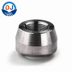 VTOL1 | 1" SS THREAD-O-LET TOL