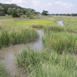 WSP33-8 | 33" DIA. WT SPILL PLATFORM w/ SINGLE ACCESS PORT AT 8" OFF CENTER INCL. (1) WSP/CRK..