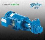 XF1PC | BLACKMER MODEL XF1PC PUMP
